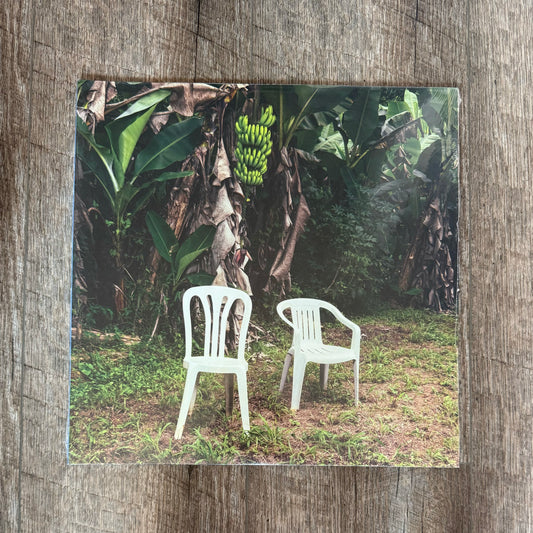 Bad Bunny - Debi Tirar Mas Fotos Vinyl