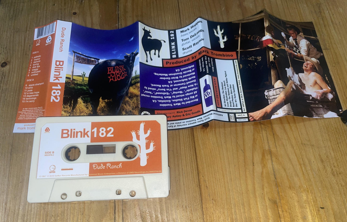 Blink 182 Cassette Tapes