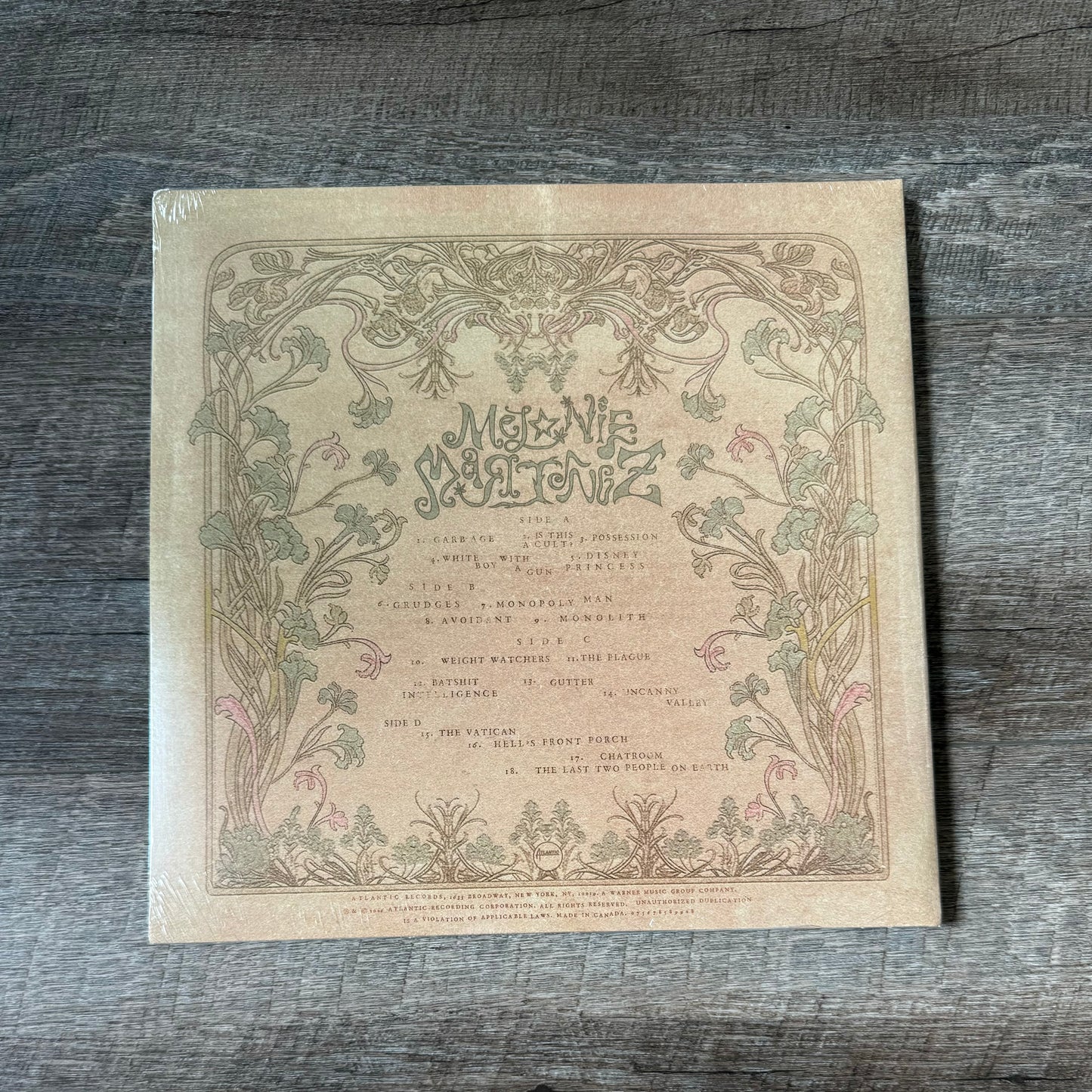 Melanie Martinez - HADES Vinyl Record Image 3 - YINZZ.com