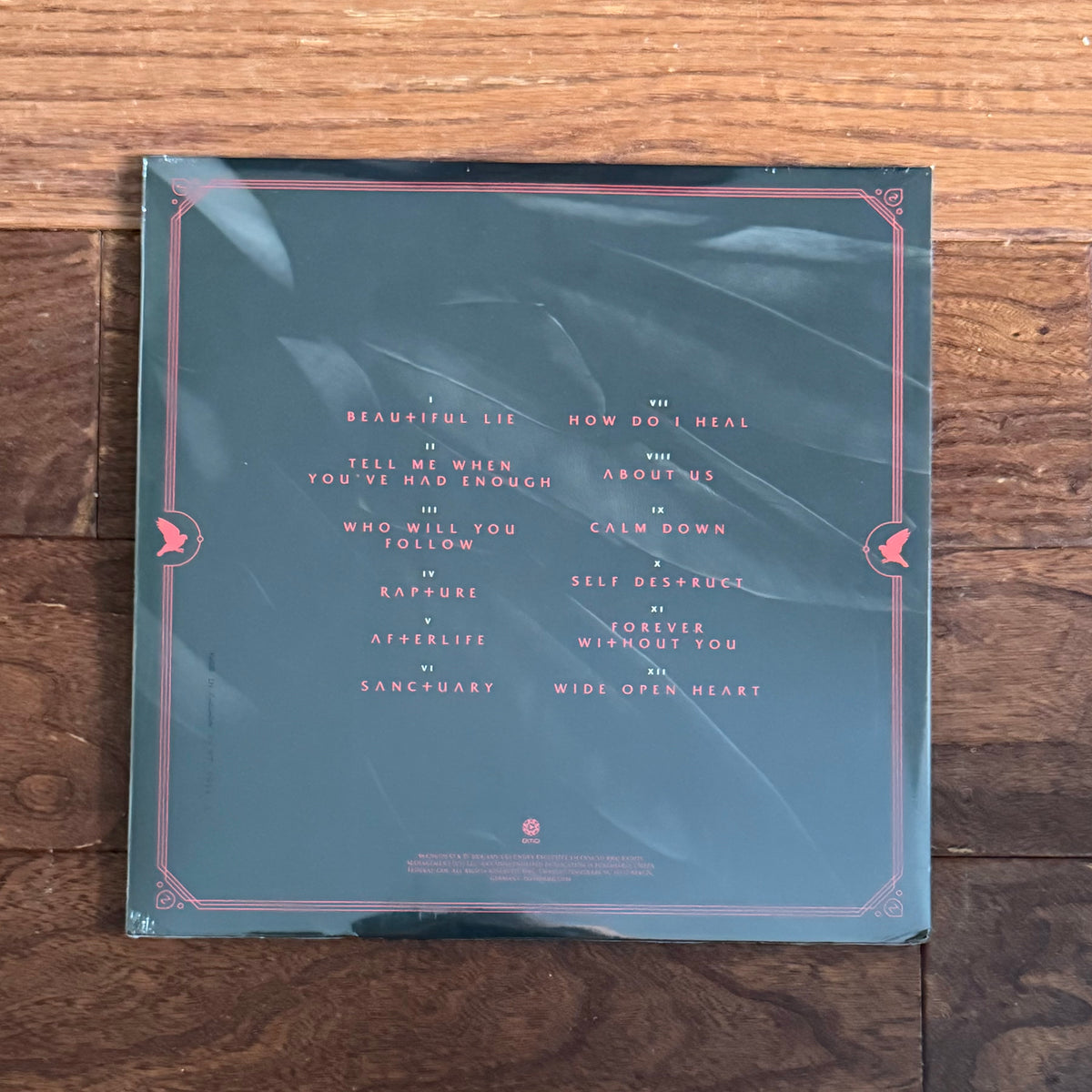 Evanescence - Sanctuary (Target Exclusive, Vinyl)