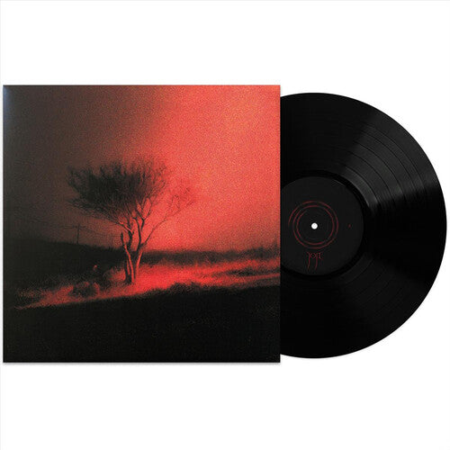 Joji - Piss In The Wind Vinyl [Explicit Content]