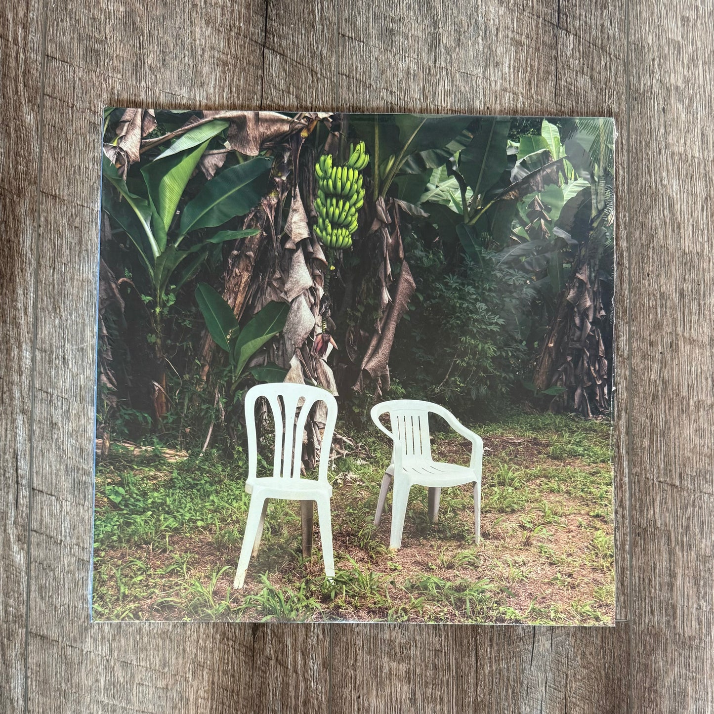 Bad Bunny - Debi Tirar Mas Fotos Vinyl