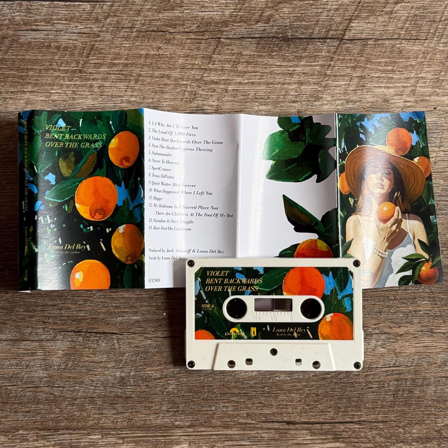 Lana Del Rey Cassette Tapes