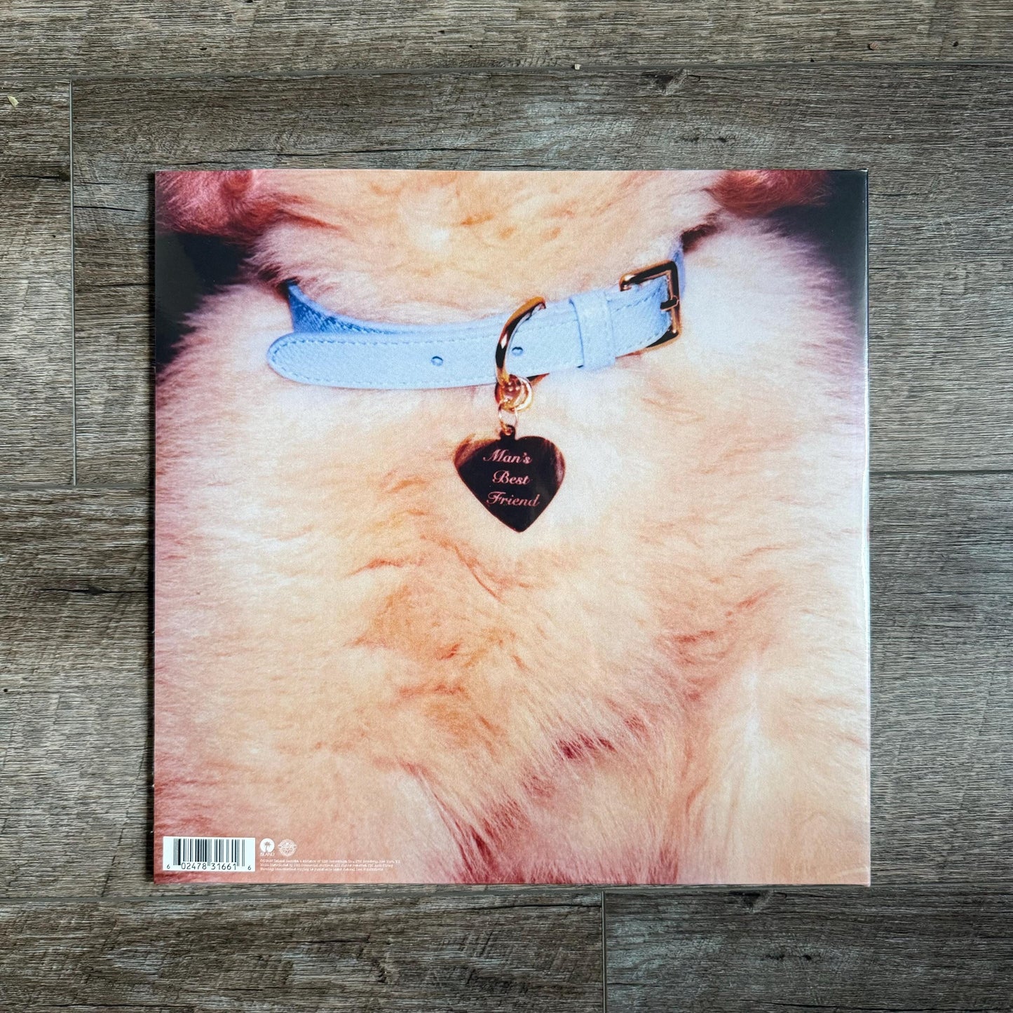 Sabrina Carpenter Vinyl - Man's Best Friend (Light Blue Vinyl)