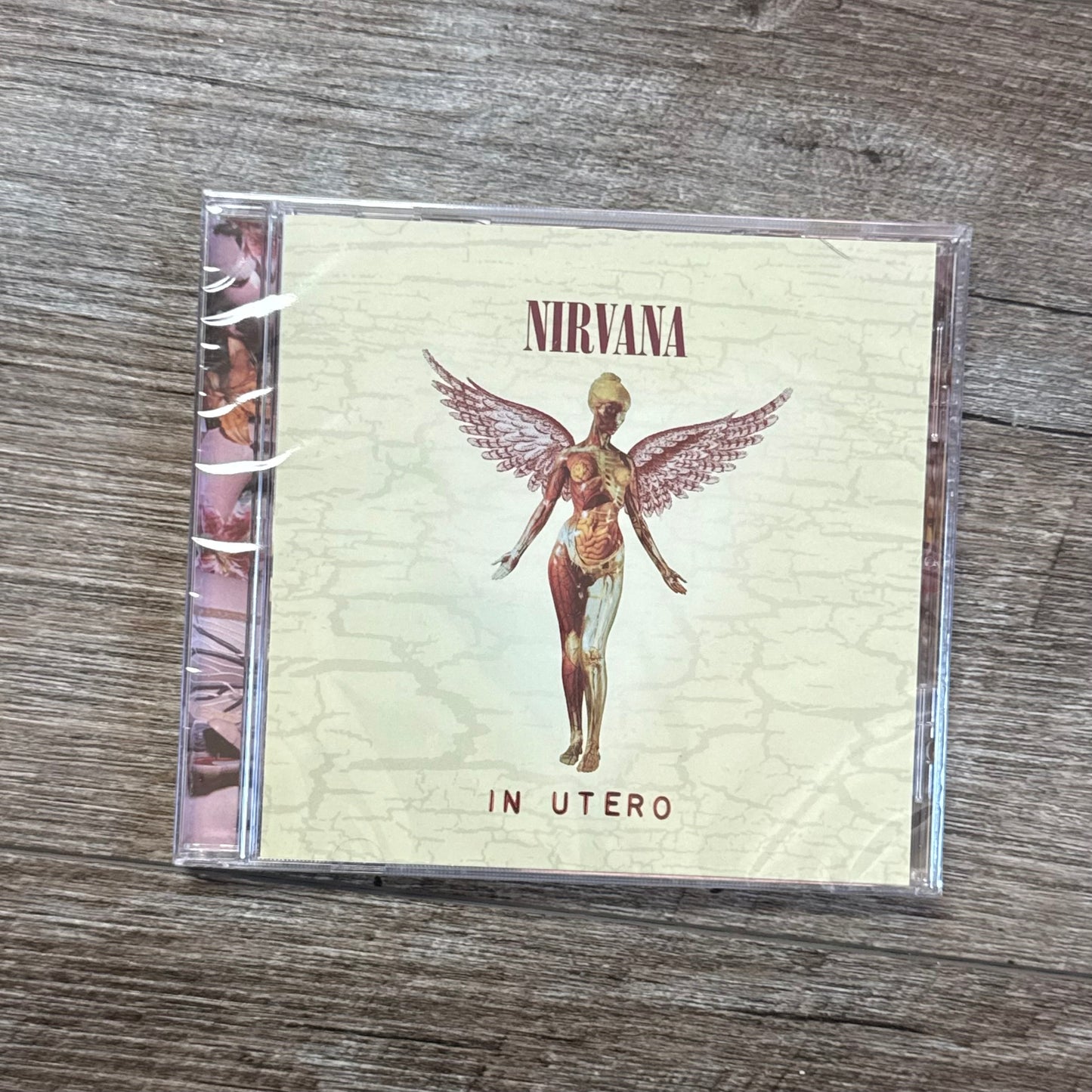 Nirvana - In Utero (20th Anniversary Edition) CD