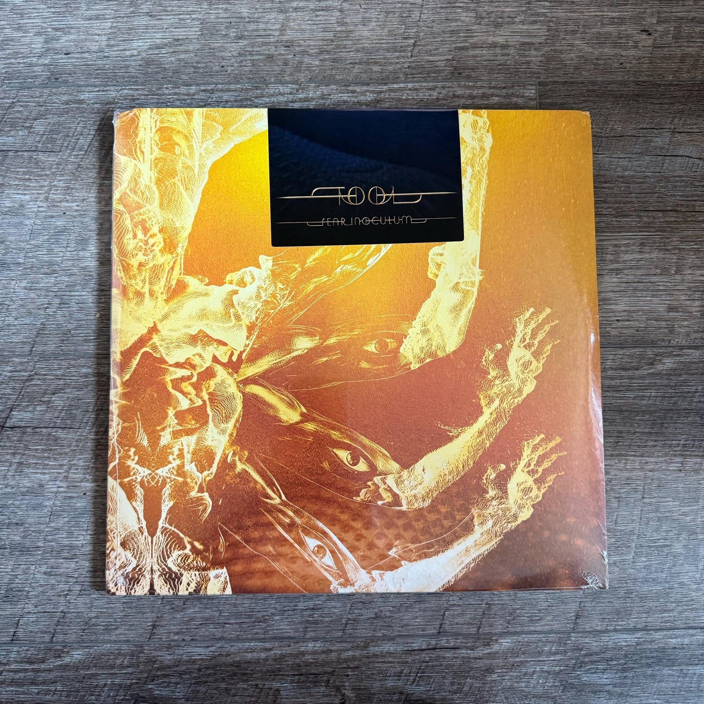 Tool - Fear Inoculum Vinyl (3 LP 180 Gram Black Vinyl)