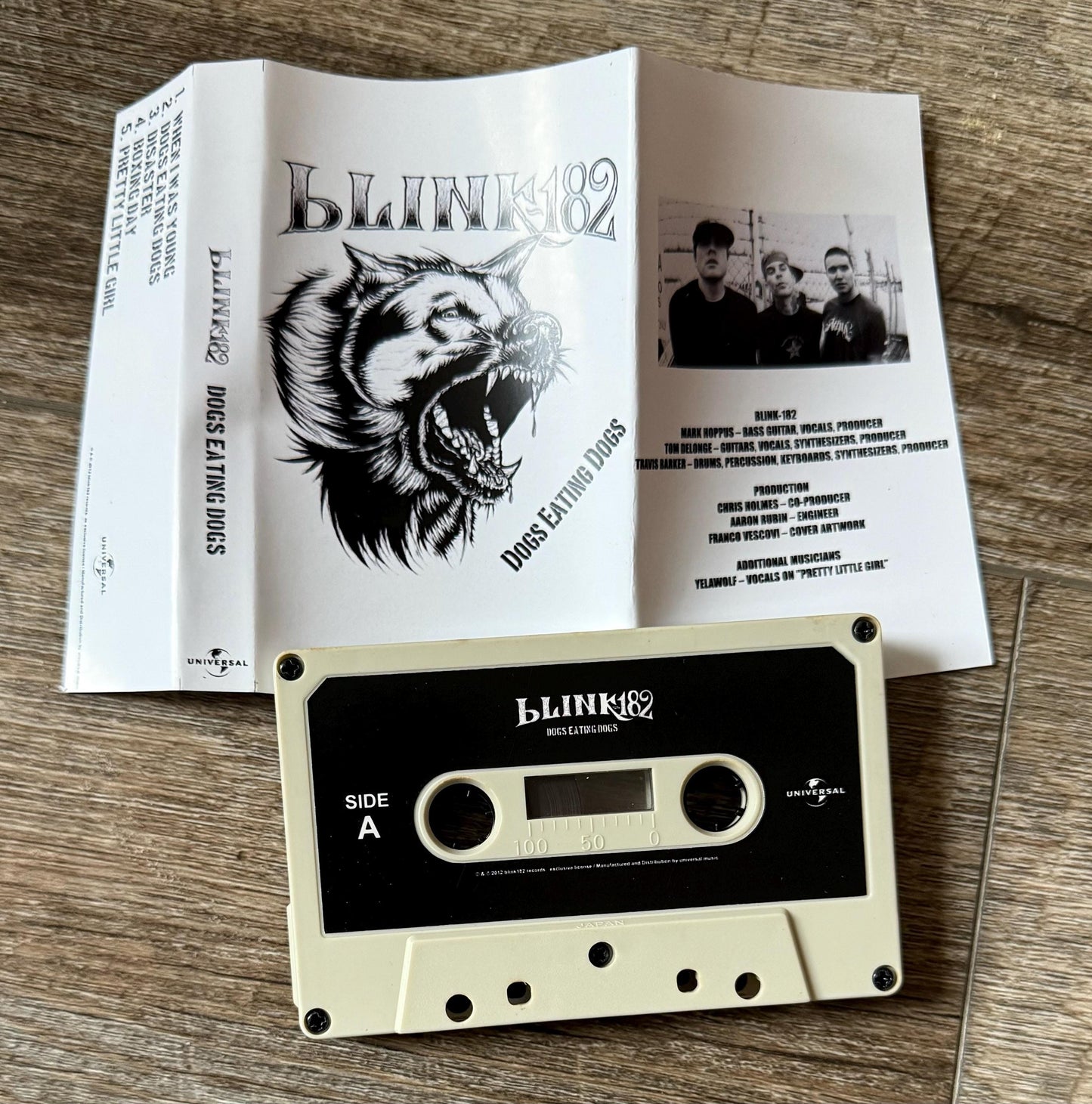 Blink 182 Cassette Tapes